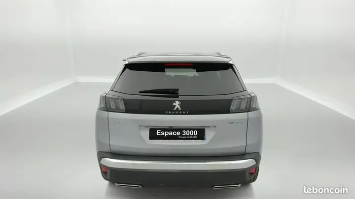Peugeot 3008 2021 photo 5