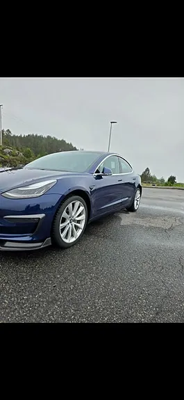 Tesla Model 3 2019 photo 3