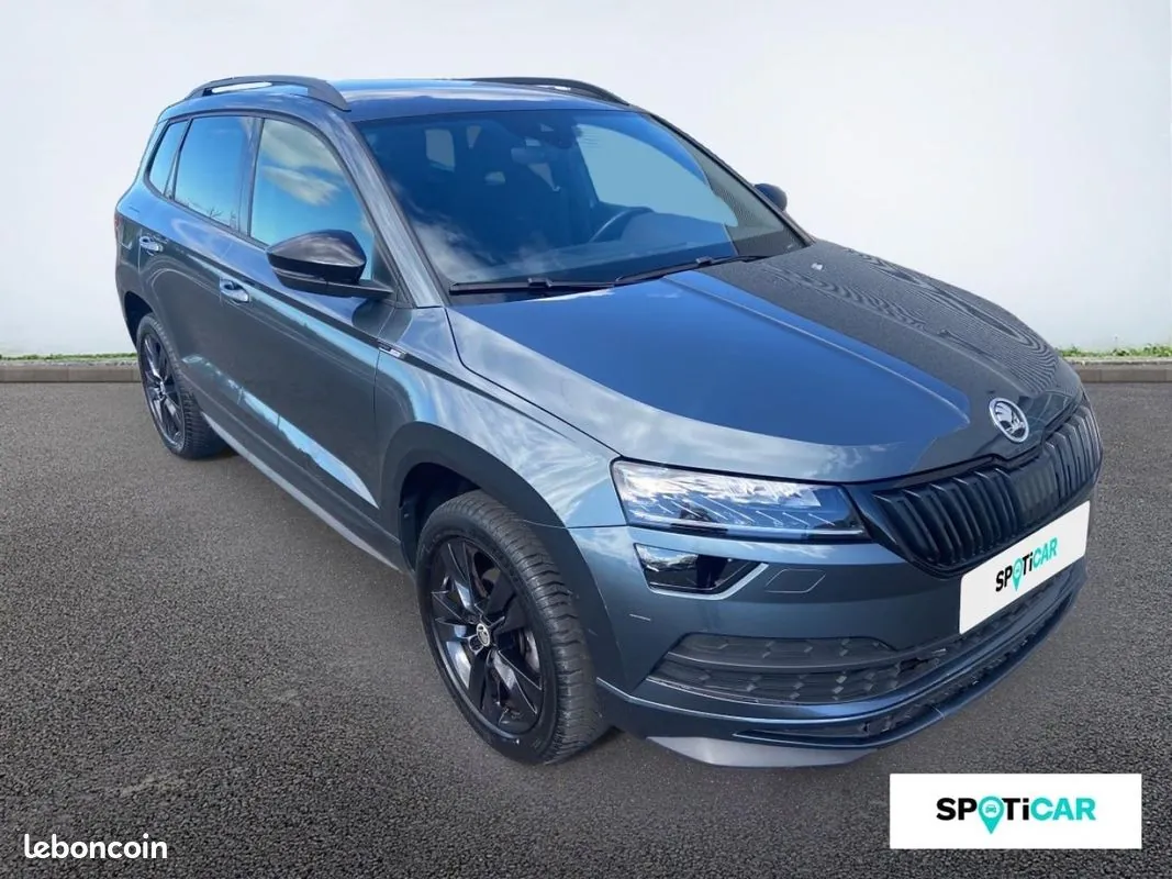 Skoda Karoq 2020 photo 3