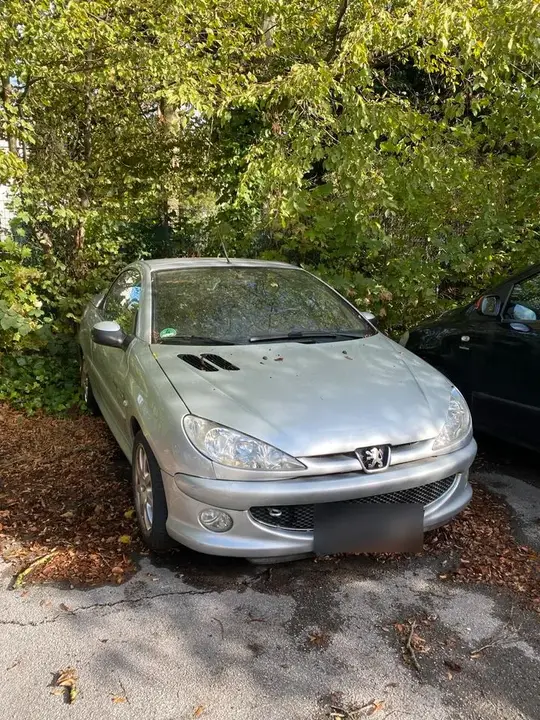 Peugeot 206 Cc Cabrio