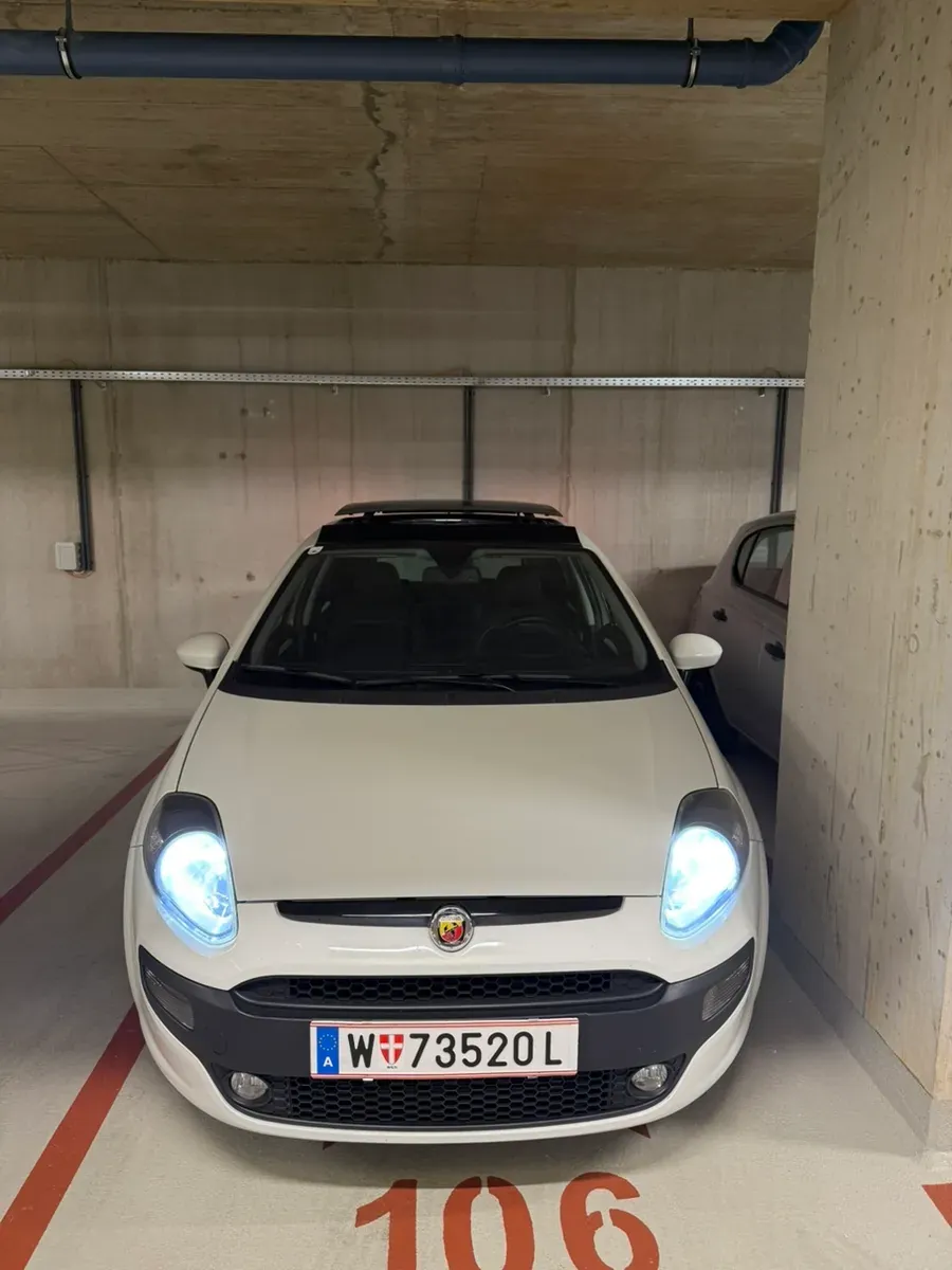 Fiat Punto 2010 photo 3