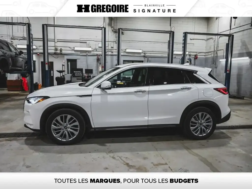 Infiniti Qx50 2024 photo 5
