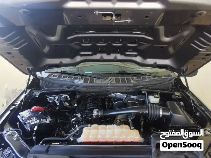 Ford F-150 2021 photo 2