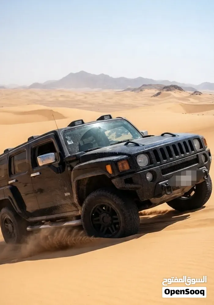 Hummer H3 2009 photo 5
