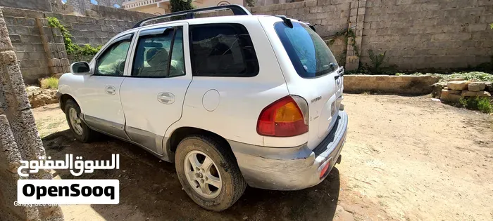 Hyundai Santa Fe 2002 photo 4