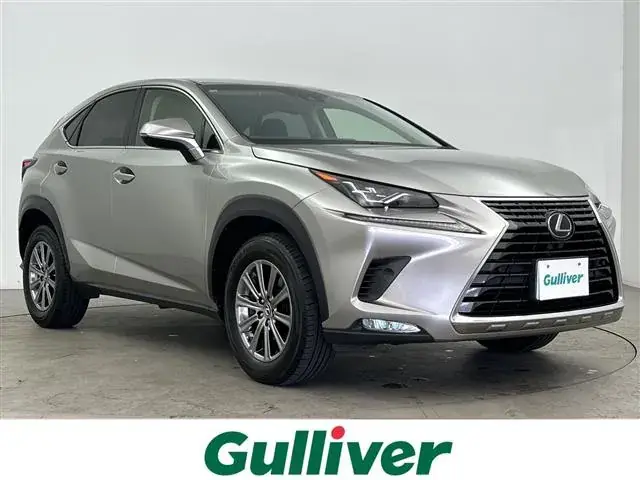 Toyota Nx