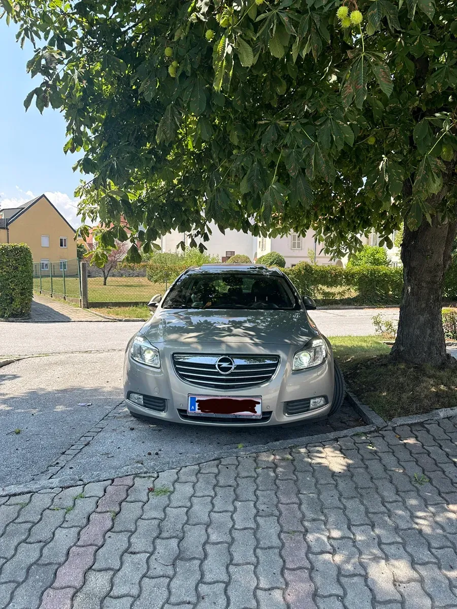 Opel Insignia 2010 photo 2