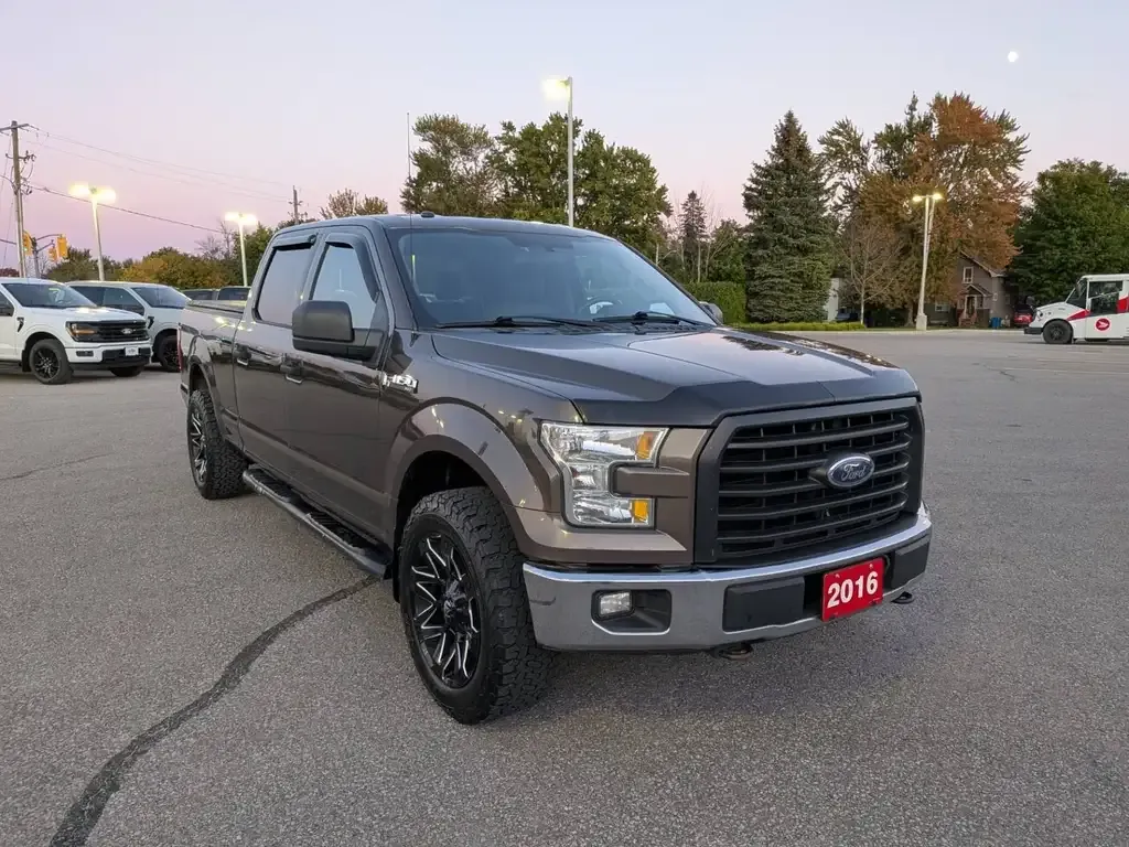 Ford F-150 2016 photo 3