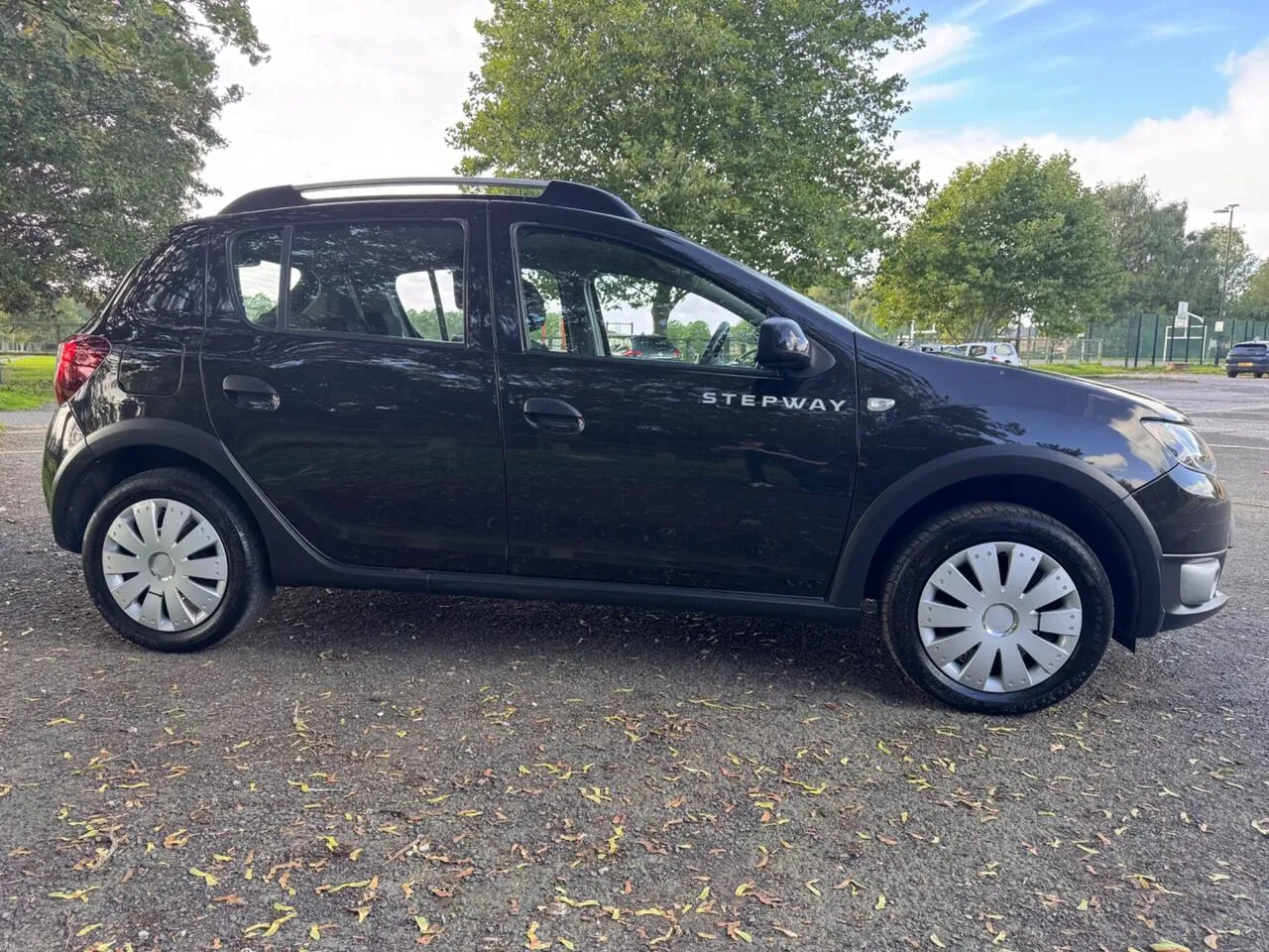 Dacia Sandero Stepway 2014 photo 2