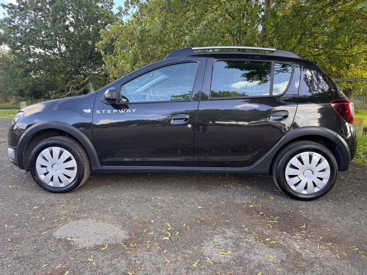 Dacia Sandero Stepway 2014 photo 5