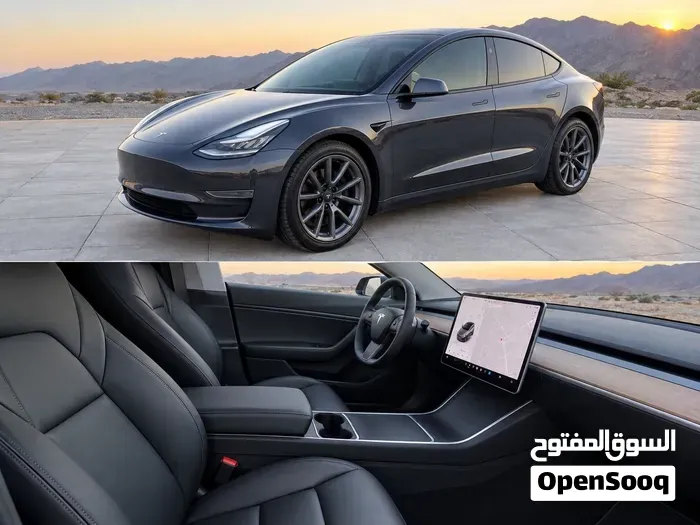 Tesla Model 3 2021 photo 4