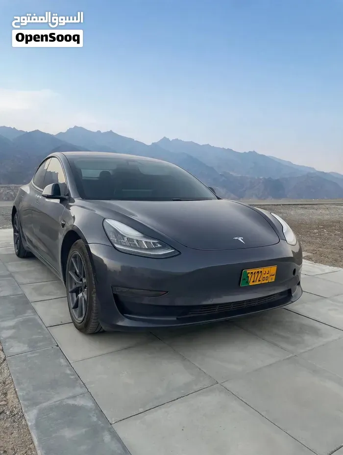 Tesla Model 3 2021 photo 2