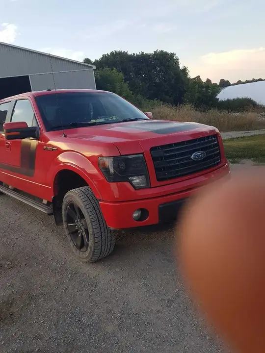 Ford F-150 2014 photo 2