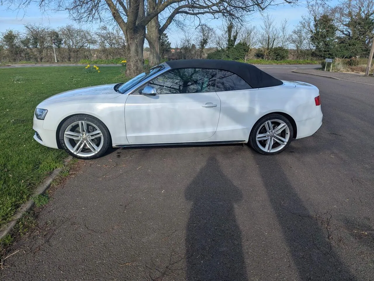 Audi S5 2014 photo 2