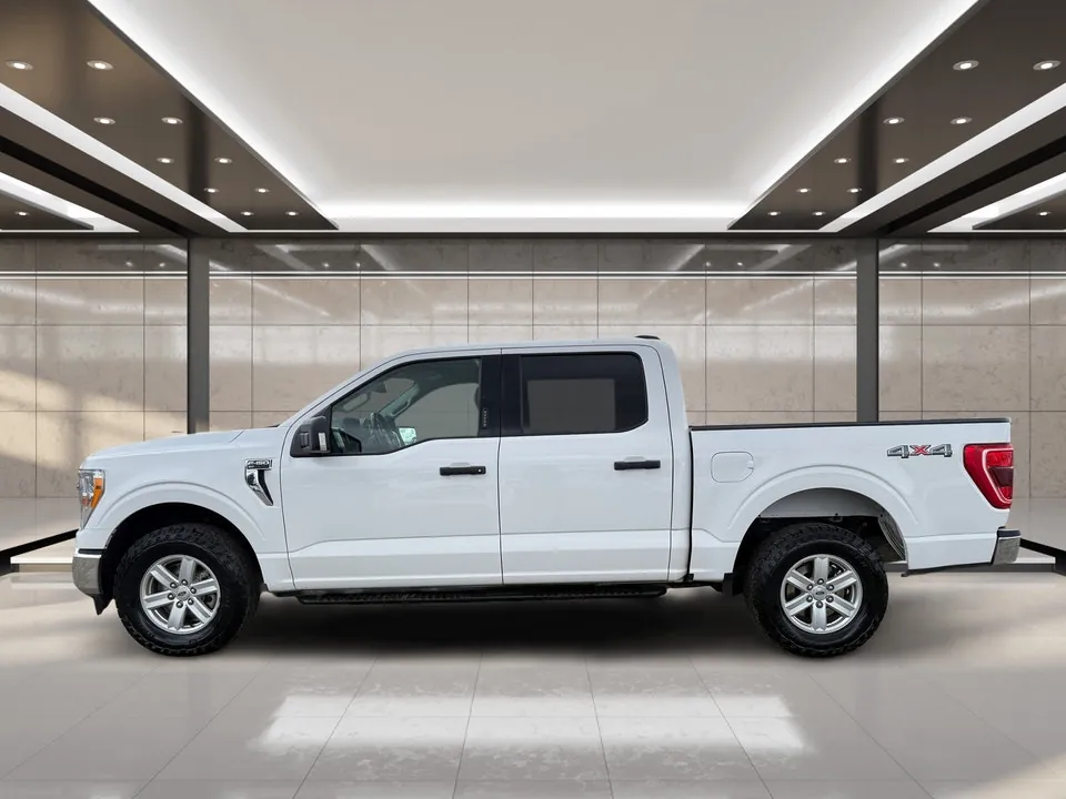 Ford F-150 2021 photo 5