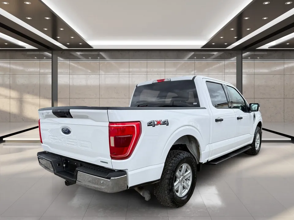 Ford F-150 2021 photo 3