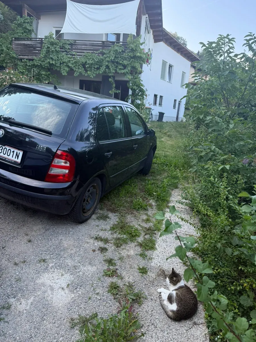 Skoda Fabia 2004 photo 2