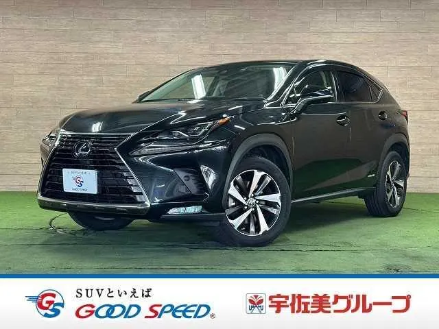 Lexus Nx300H