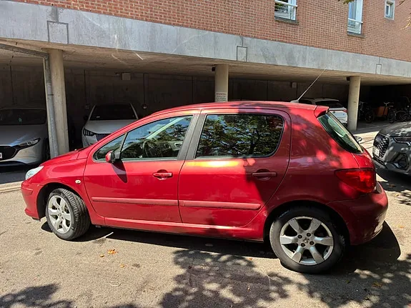 Peugeot 307 2006 photo 2