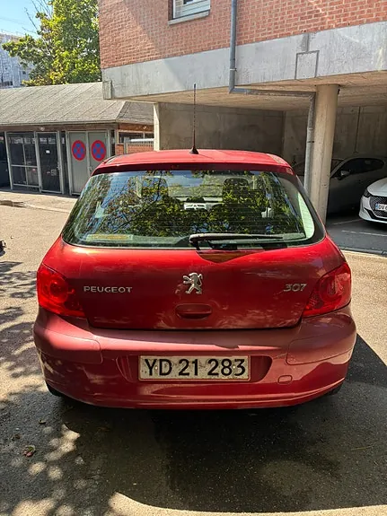 Peugeot 307 2006 photo 4