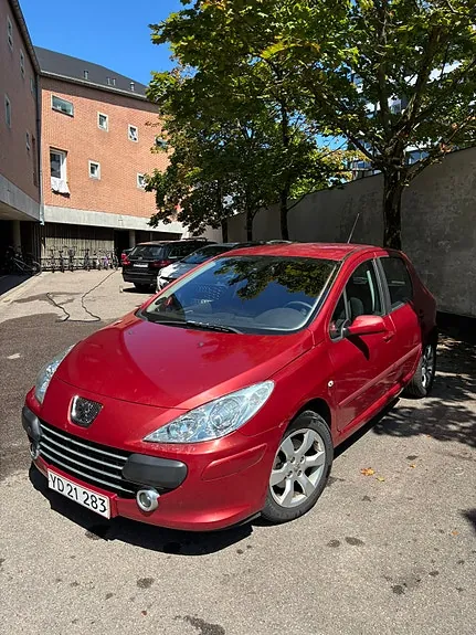 Peugeot 307 2006 photo 3
