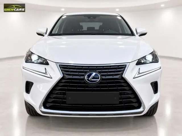 Lexus Nx 2018 photo 3