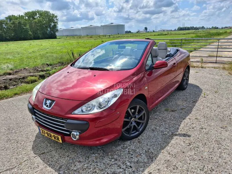 Peugeot 307 2005 photo 2