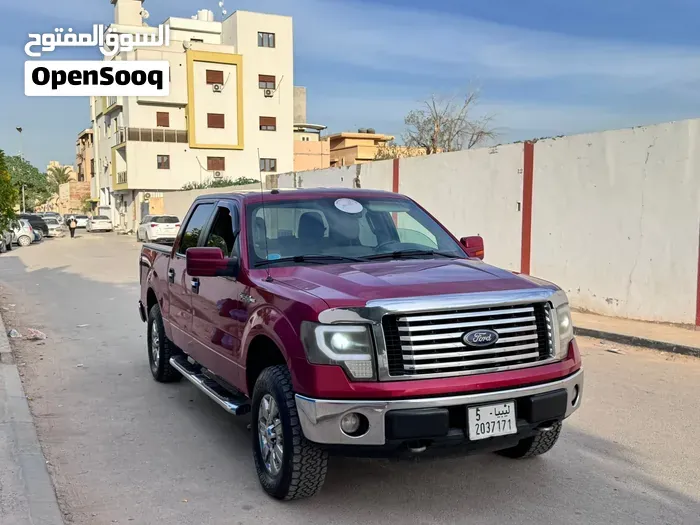 Ford F-150 2010 photo 3