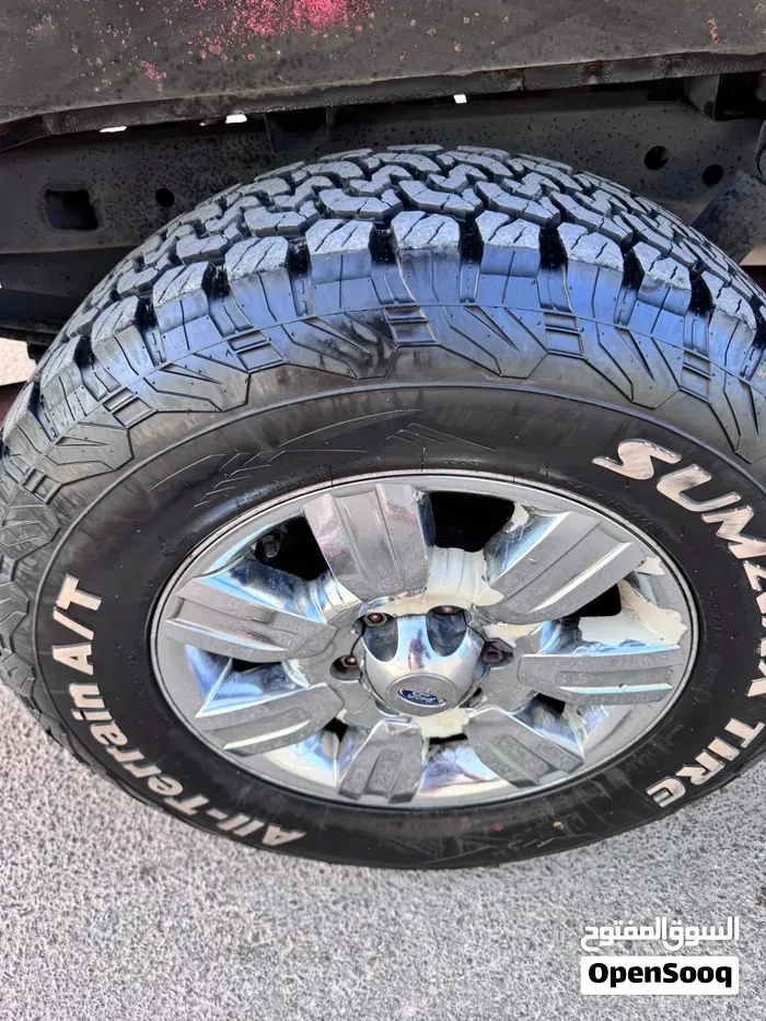 Ford F-150 2010 photo 4