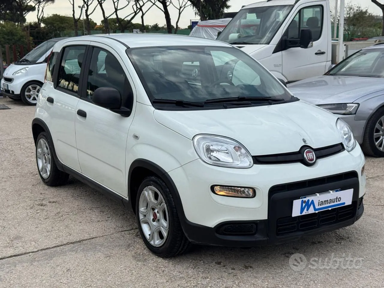 Fiat Panda 2024 photo 2