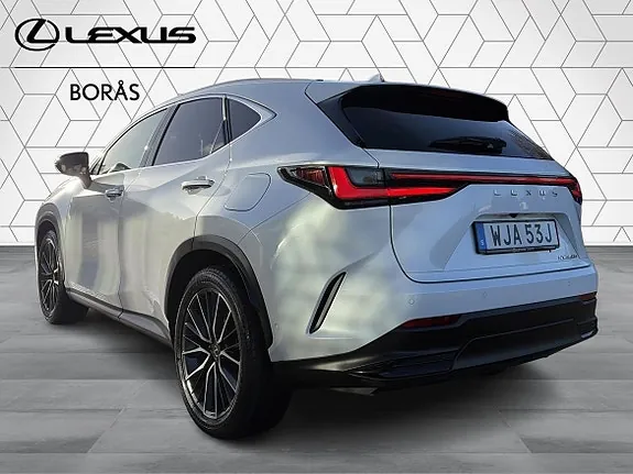 Lexus Nx350H 2023 photo 4