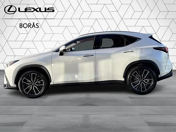 Lexus Nx350H 2023 photo 5