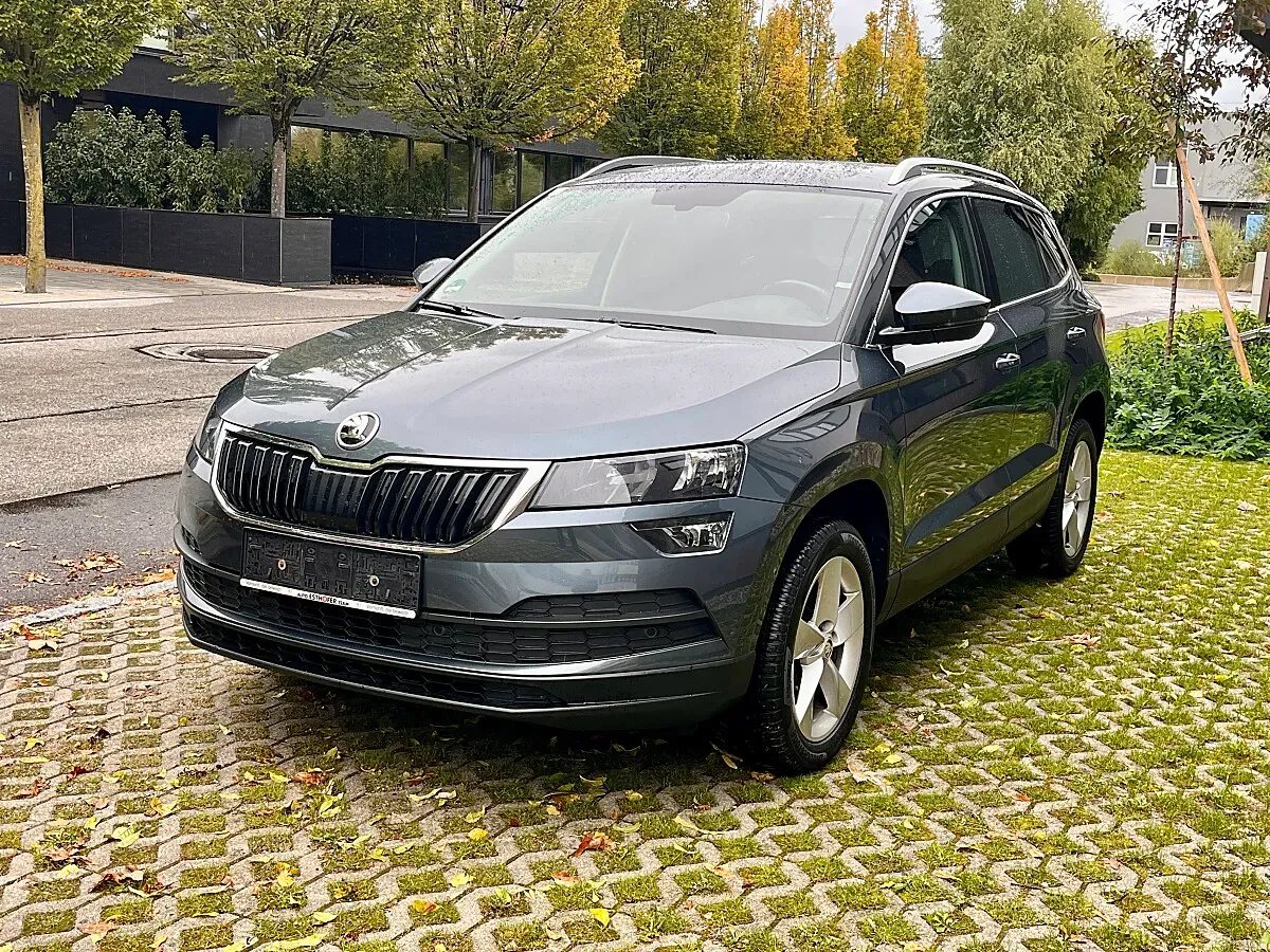 Skoda Karoq 2018 photo 3