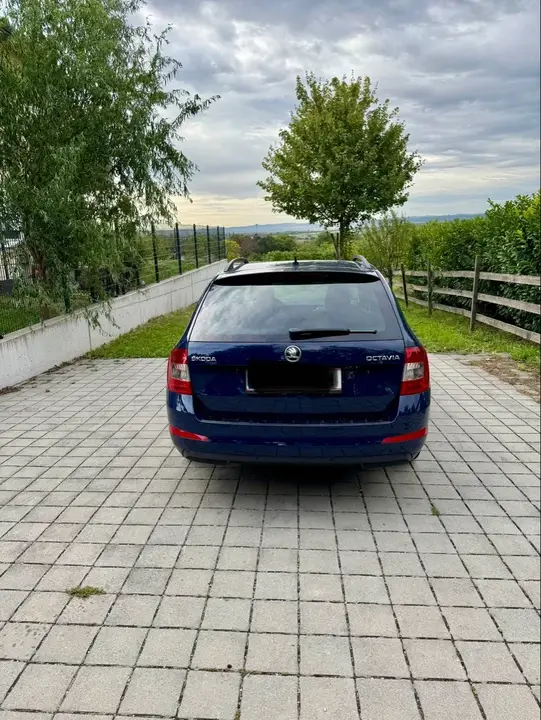 Skoda Octavia 2015 photo 3