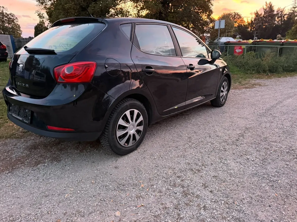 Seat Ibiza 2010 photo 3