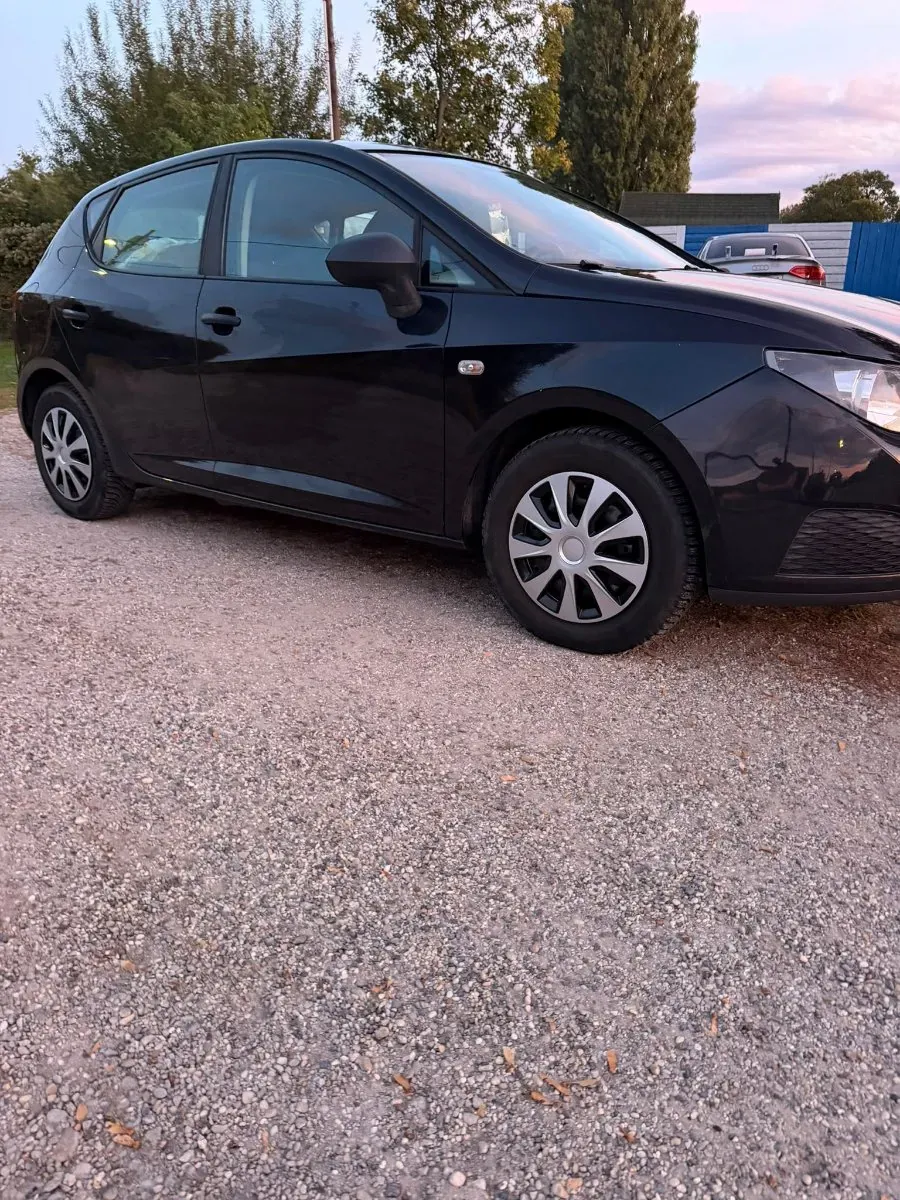 Seat Ibiza 2010 photo 2