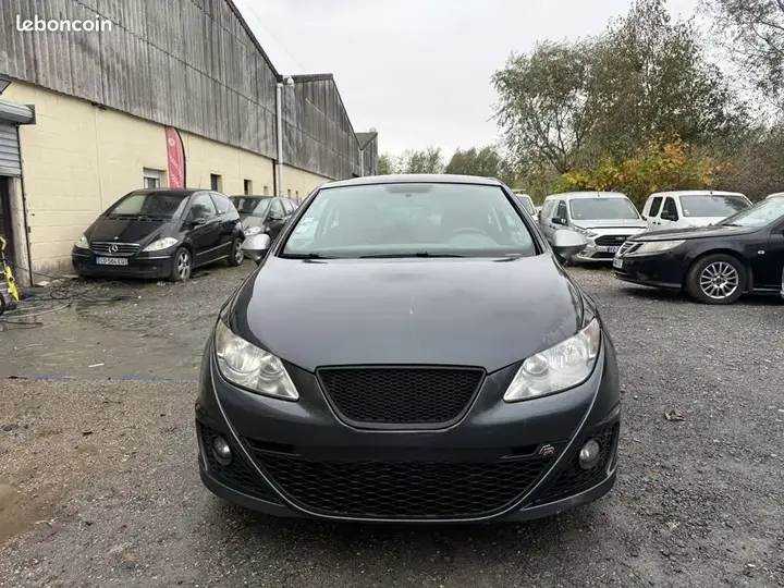 Seat Ibiza 2010 photo 2