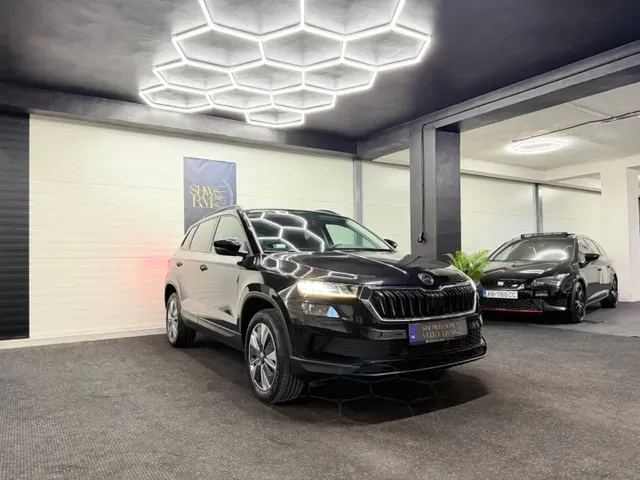 Skoda Karoq 2023 photo 4