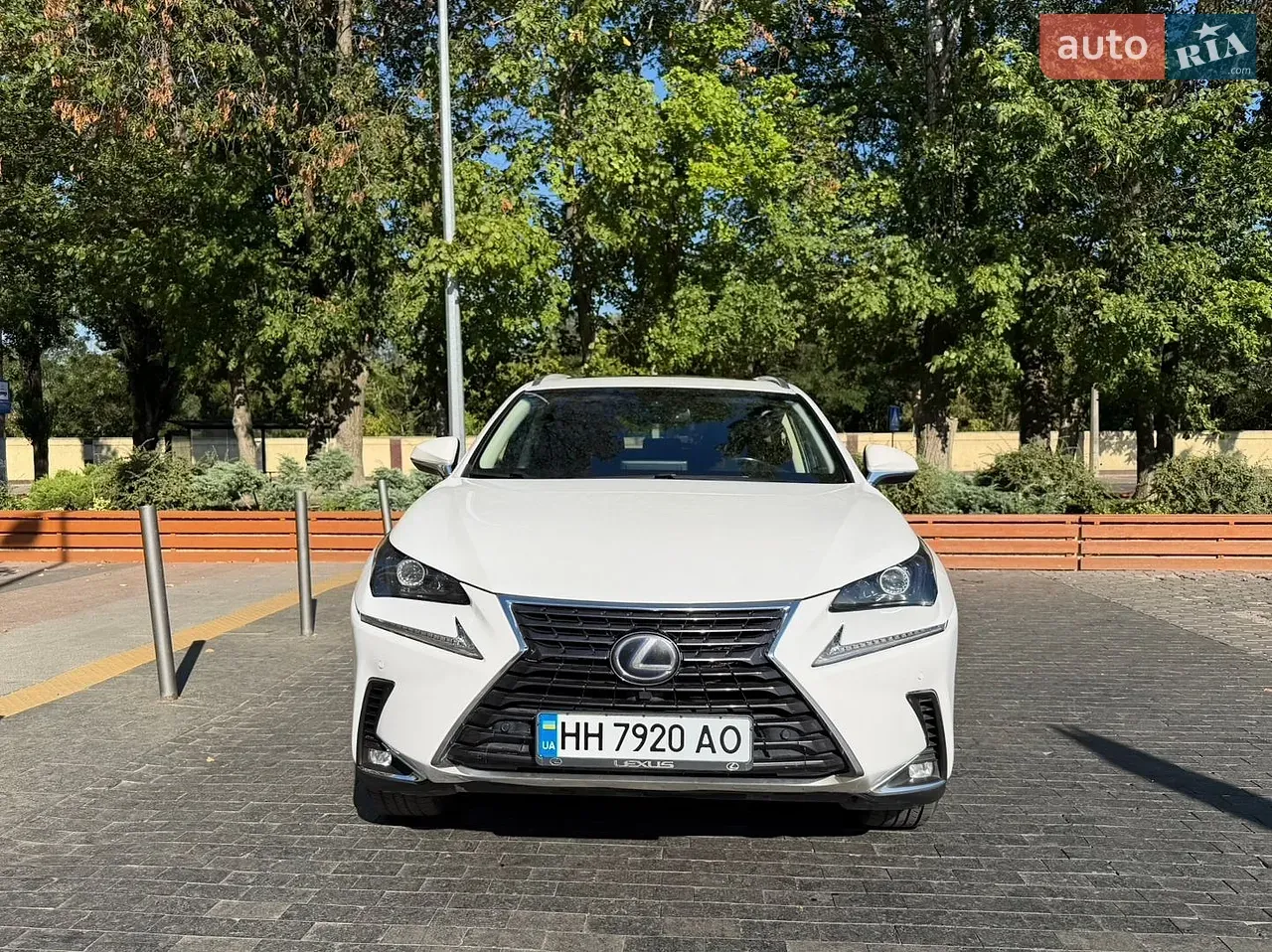 Lexus Nx 2018 photo 2