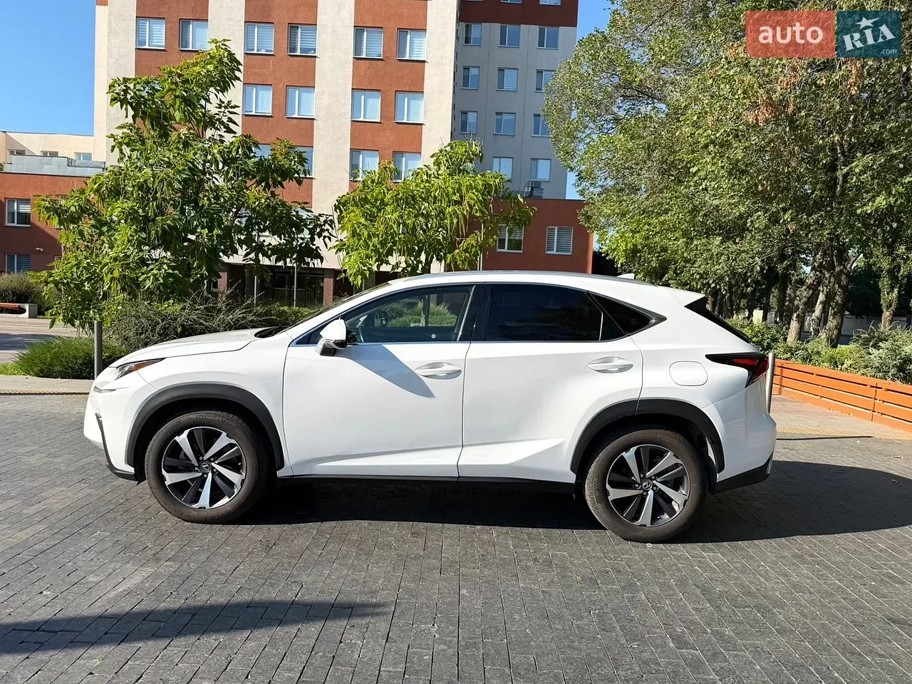 Lexus Nx 2018 photo 5