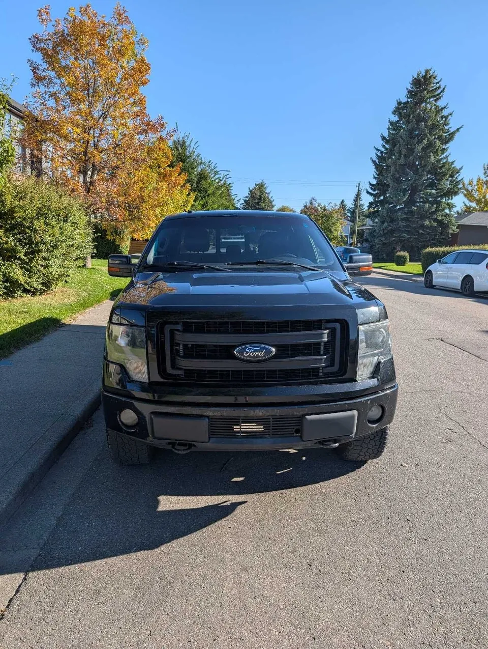 Ford F-150 2013 photo 5