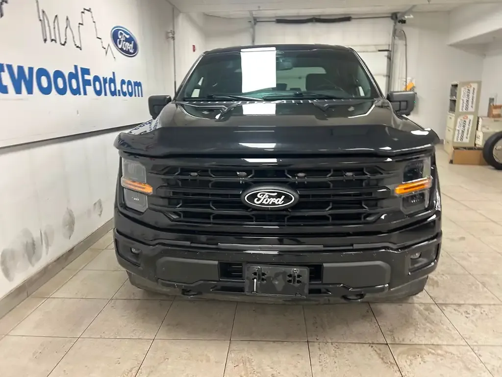Ford F-150 2024 photo 3