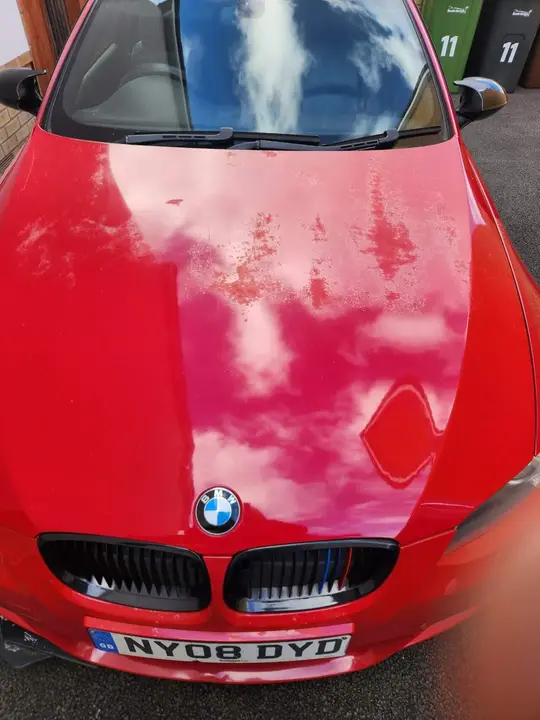BMW 3 Series 2008 photo 4