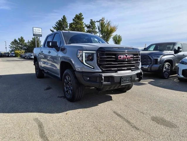 GMC Sierra 1500 2024 photo 3