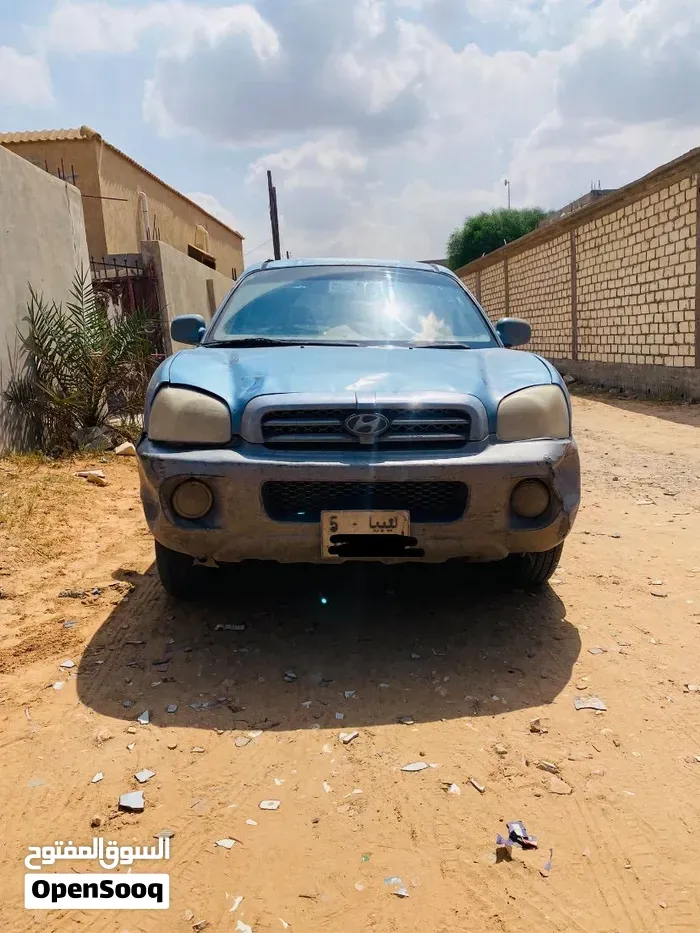 Hyundai Santa Fe 2006 photo 4