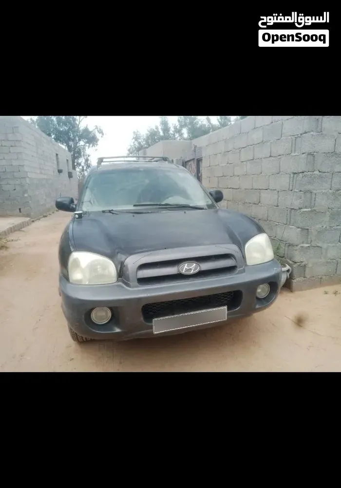 Hyundai Santa Fe 2006 photo 2