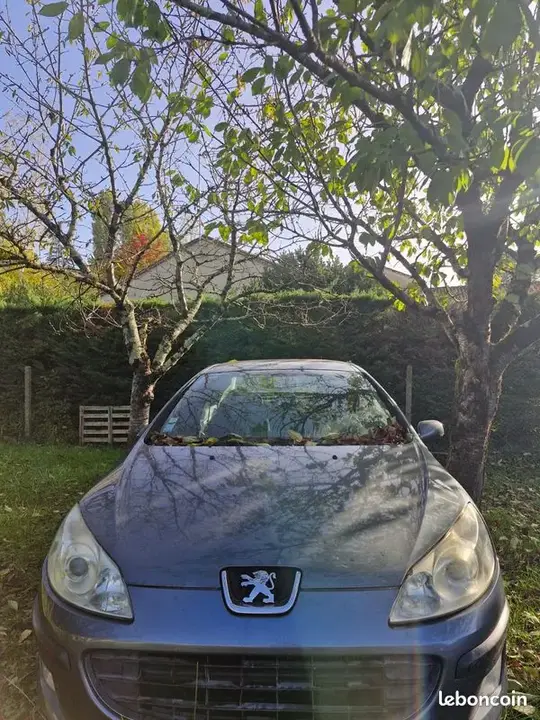 Peugeot 407