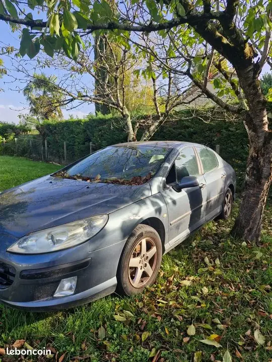 Peugeot 407 2006 photo 2