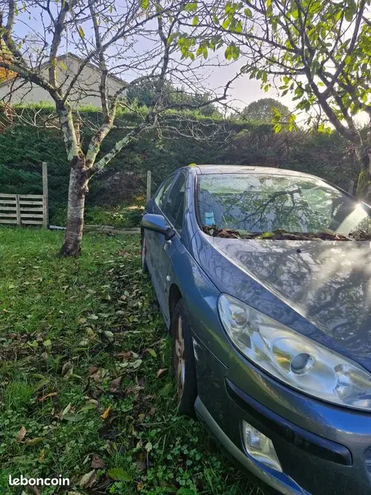 Peugeot 407 2006 photo 3