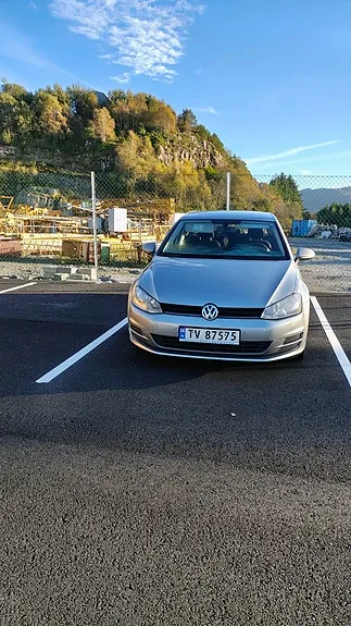 Volkswagen Golf Vii 2014 photo 5